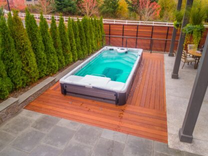 Swim spas 1 416x312 1